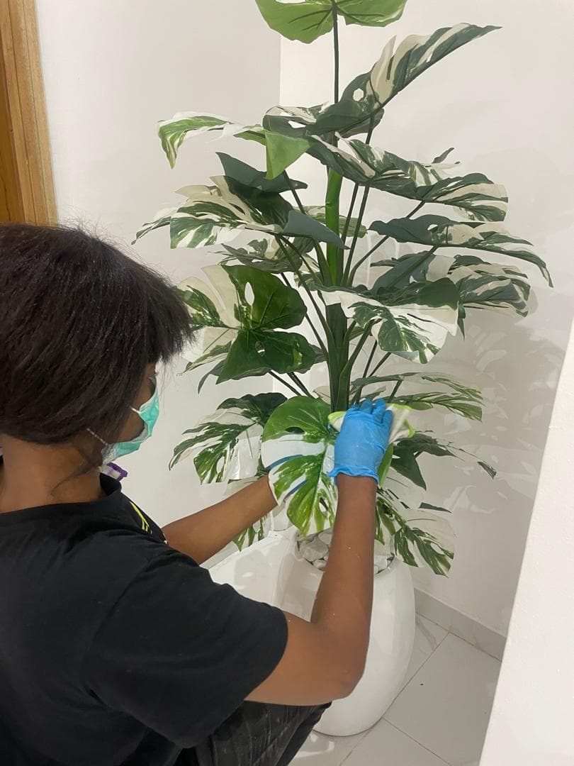 Gloved Etanaya operative carefully wiping individual plant leaves